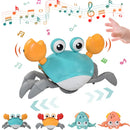 Crazy Crab - Caranguejo maluco com movimentos